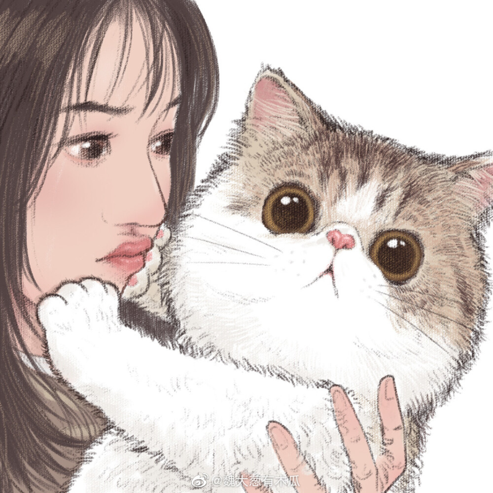 头像,猫咪全身上下每一个细胞都在拒绝你的亲吻