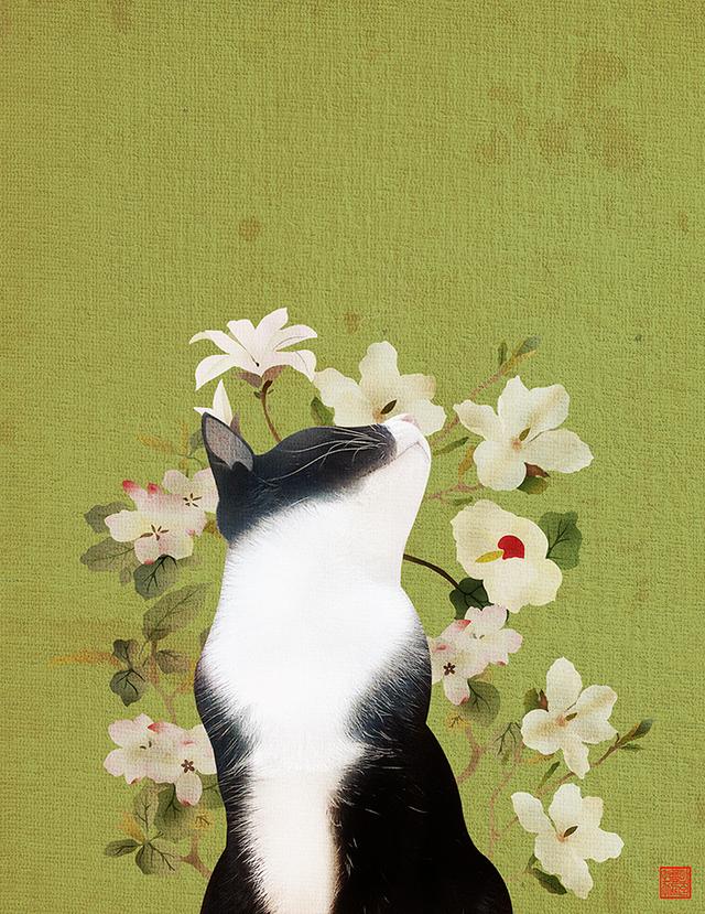 猫咪 插画 ~ 韩国画师2105237525作品 - 堆糖,美图壁纸兴趣