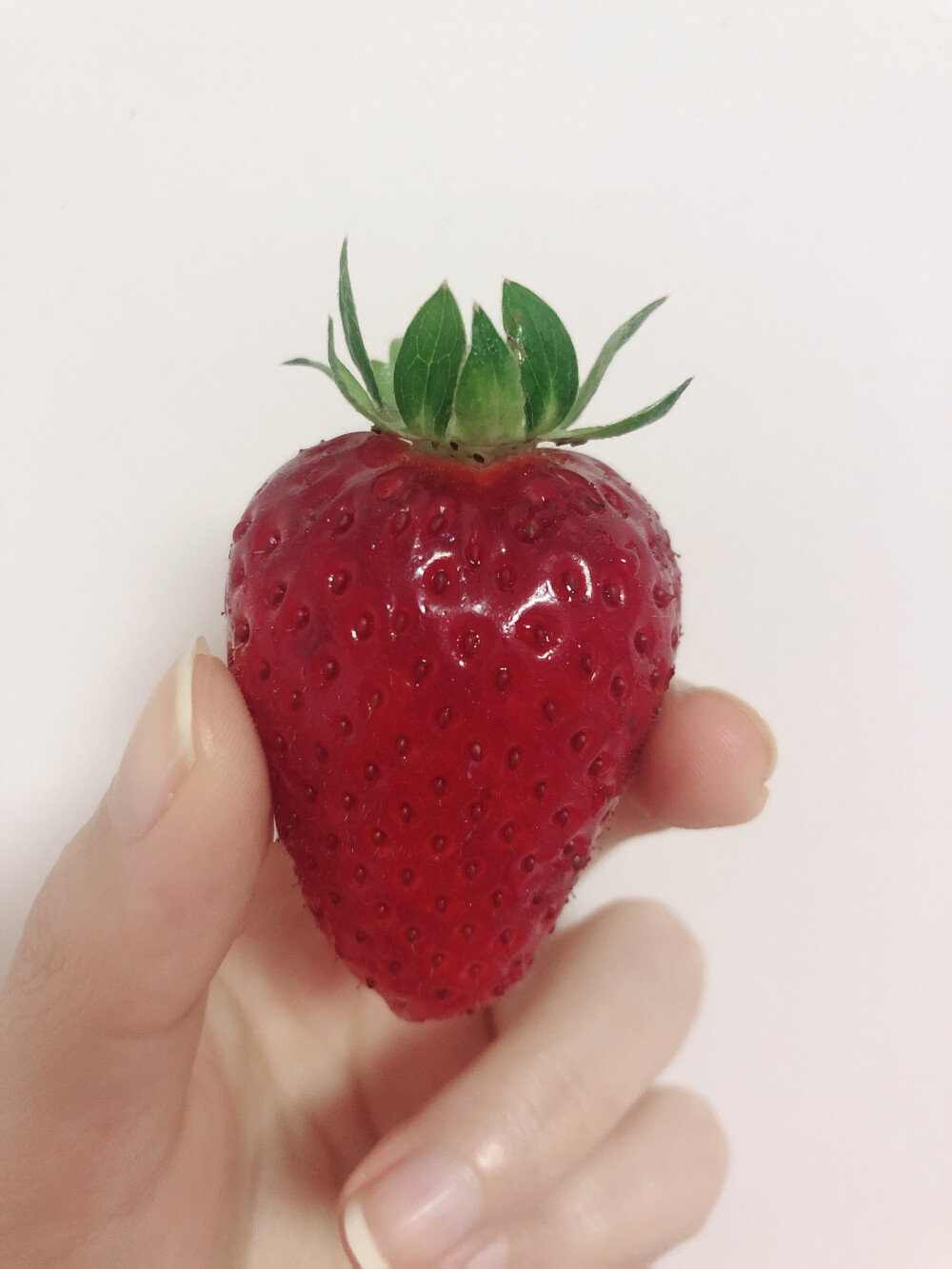一颗完美的草莓