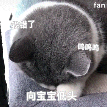 收集   点赞  评论  猫猫表情包 0 13 柠檬粟  发布到  表情包 图片