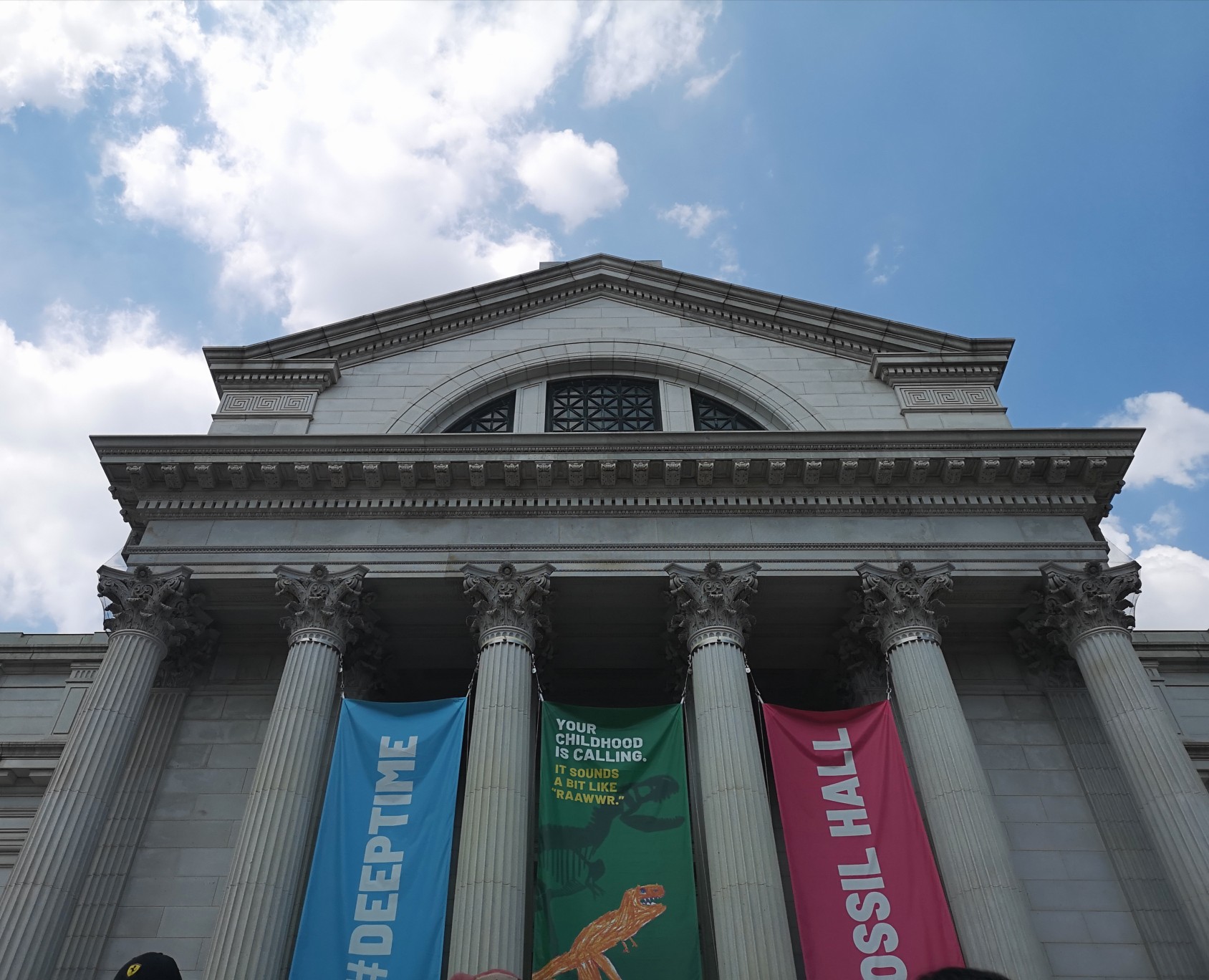 华盛顿自然历史博物馆图片