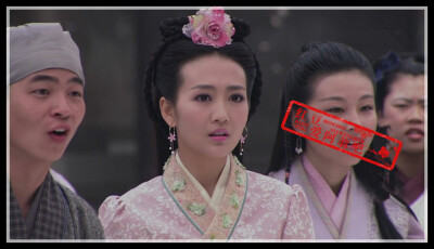 花木兰传奇王鸥 带花