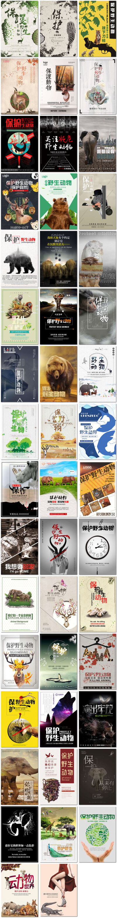 保护动物和谐共存公益海报 堆糖,美图壁纸兴趣社区