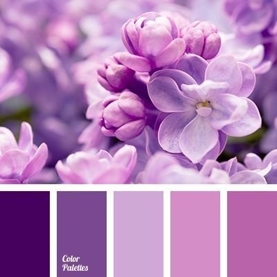 色卡·紫