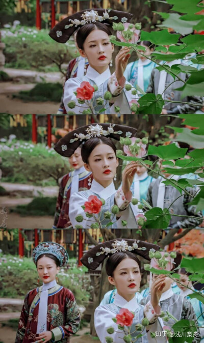 寒香见壁纸