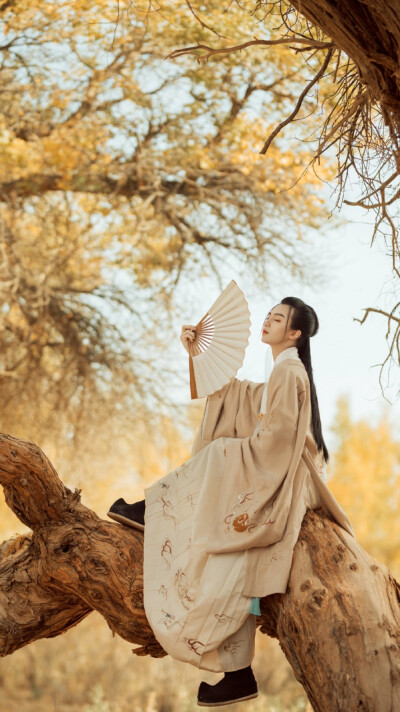 鹤川 ps可做壁纸系列