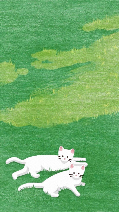 猫咪手机壁纸绿色图片