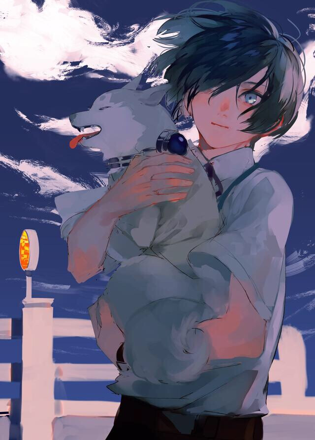 第五十三期75316441日本插画师空灵的插画让人难忘