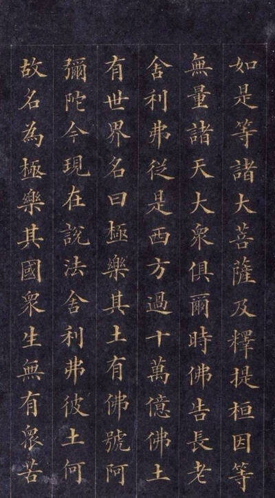 林则徐楷书《佛说无量寿经》