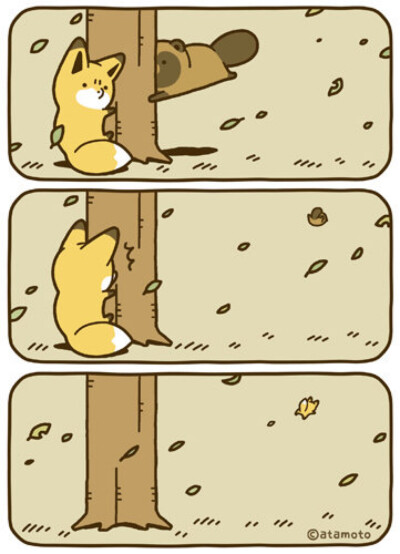 狐狸 狸猫