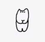 猫咪gif表情包