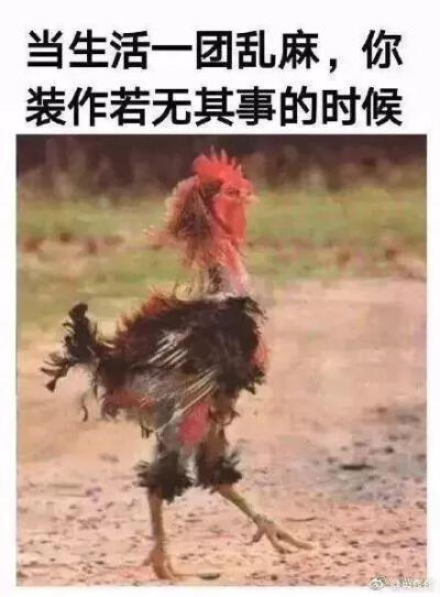 生活如同一团乱麻