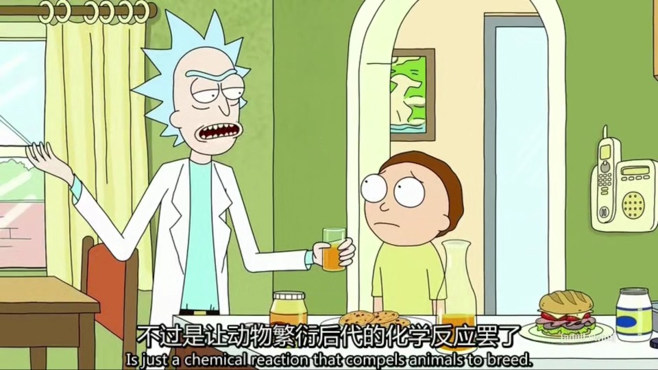 然后就慢慢消退只留给你一段失败的婚姻——rick《瑞克和莫蒂》
