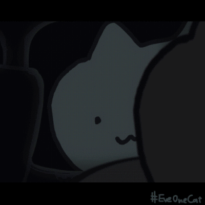 eve one cat 闪闪发光