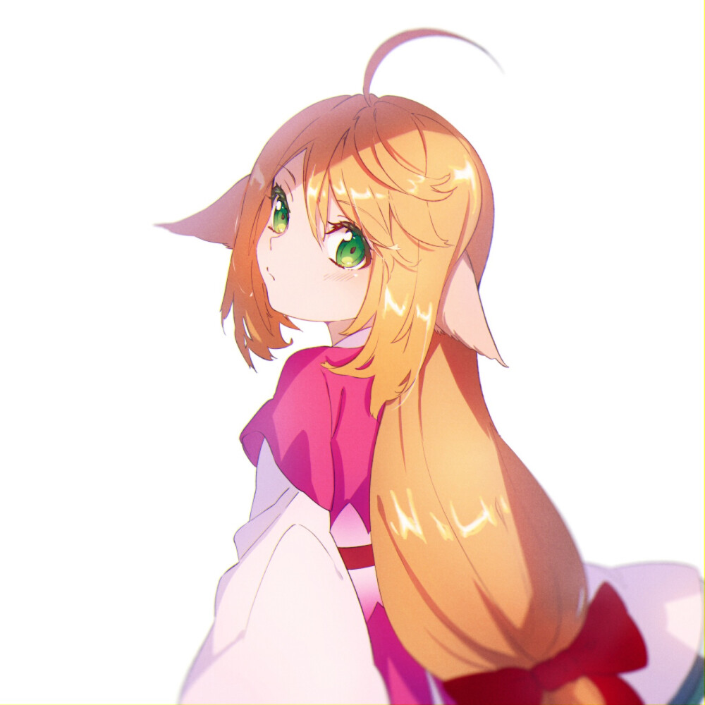 小蠢货 