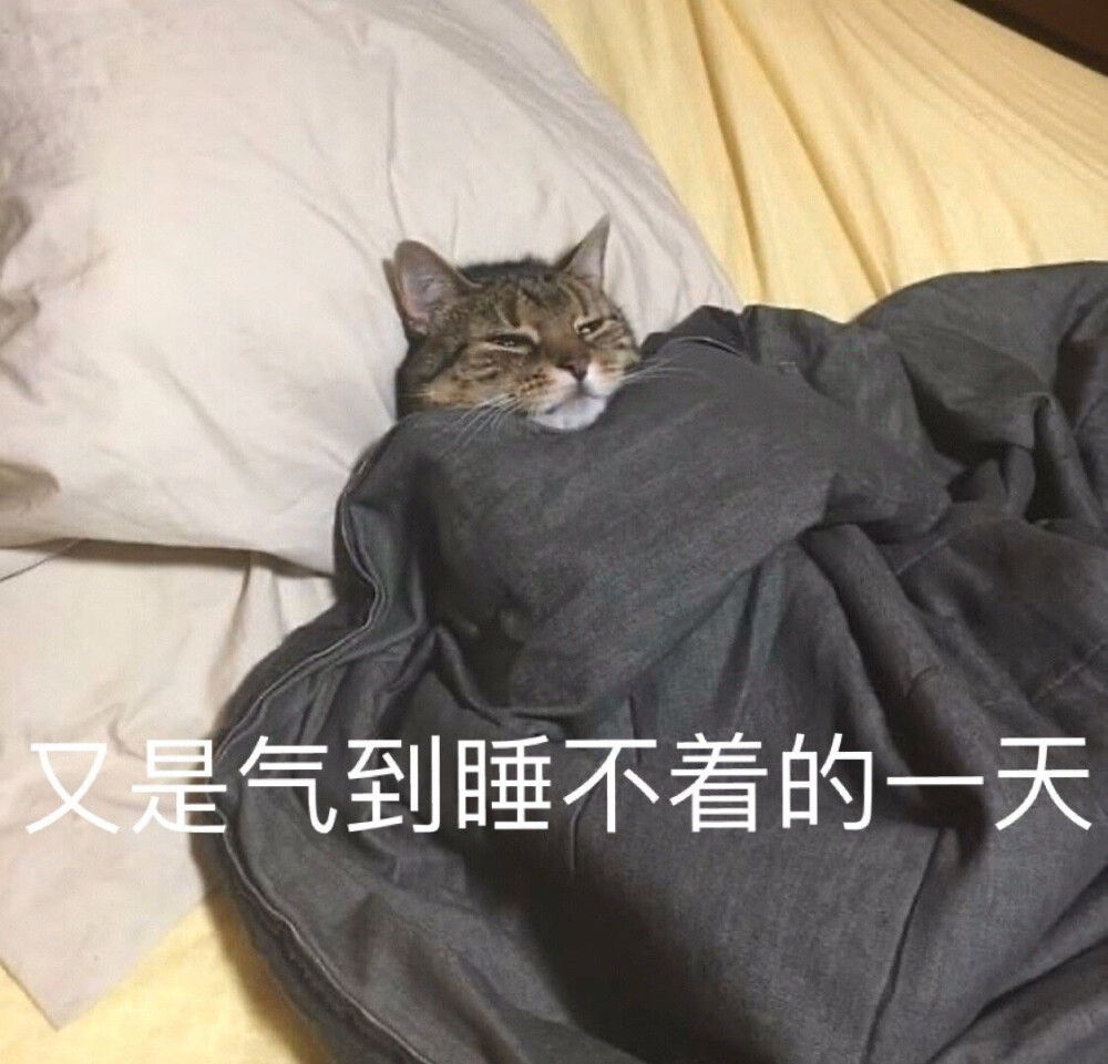 半夜气到睡不着表情包图片