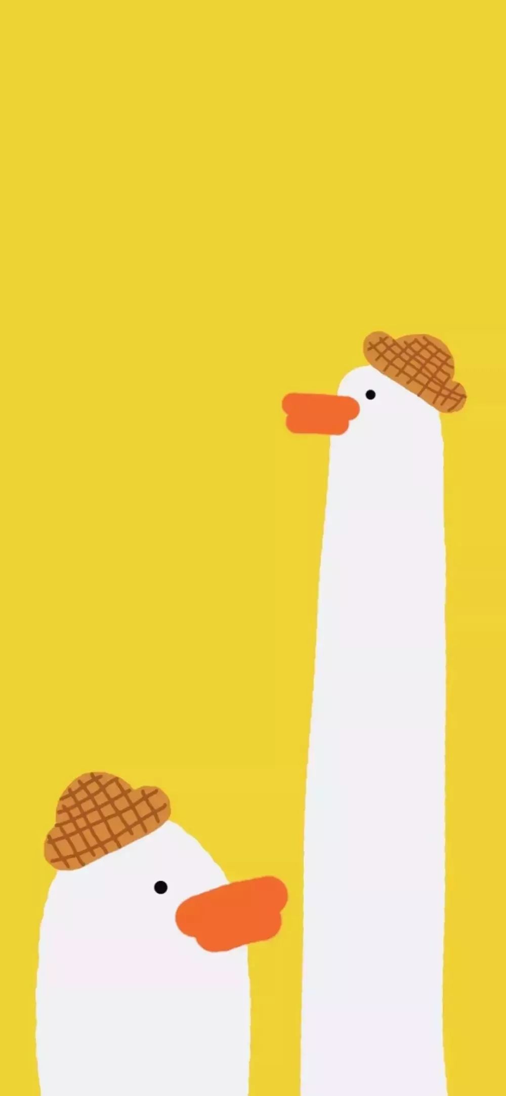 2月16日 17:12   关注  少女心壁纸 聊天背景 手机壁纸