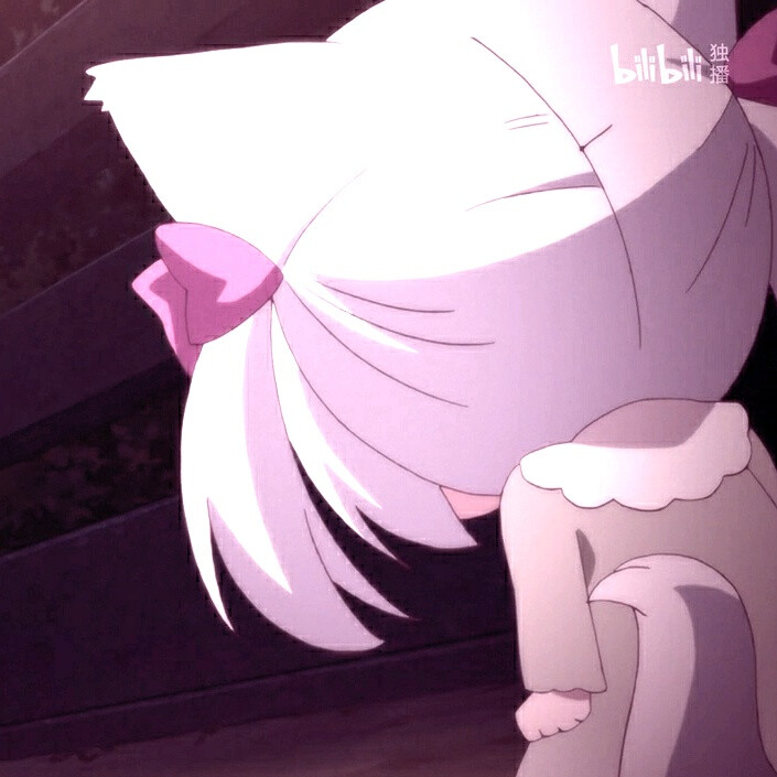 猫咪日常