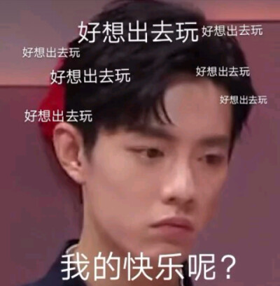肖战的表情包