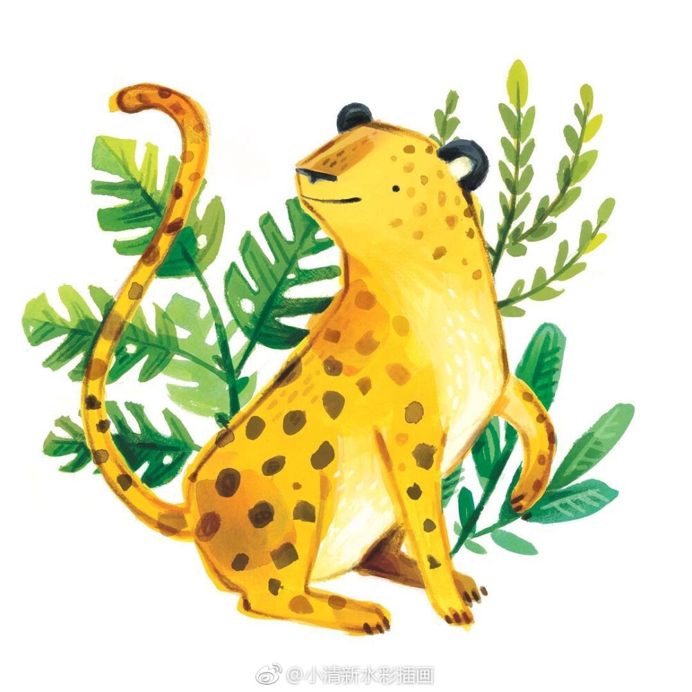 可爱动物插画~ by ins:kass_reich_illustration