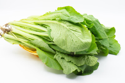 小白菜 绿叶菜 膳食纤维 营养 植物 绿色 静物 蔬菜 食品 农业 新鲜