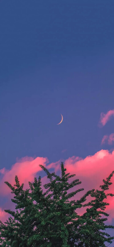 粉紫色/天空壁纸