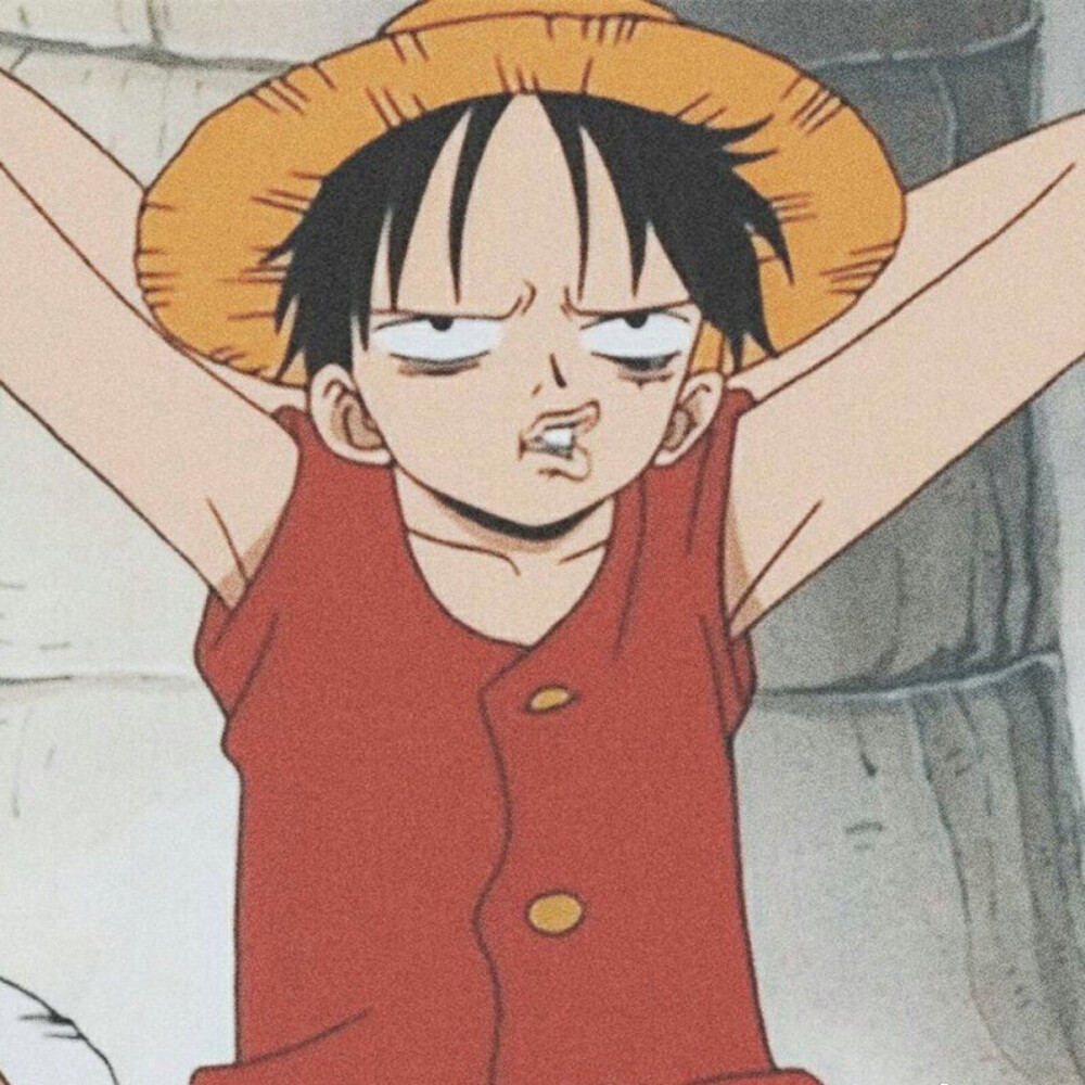 one piece 海贼王头像