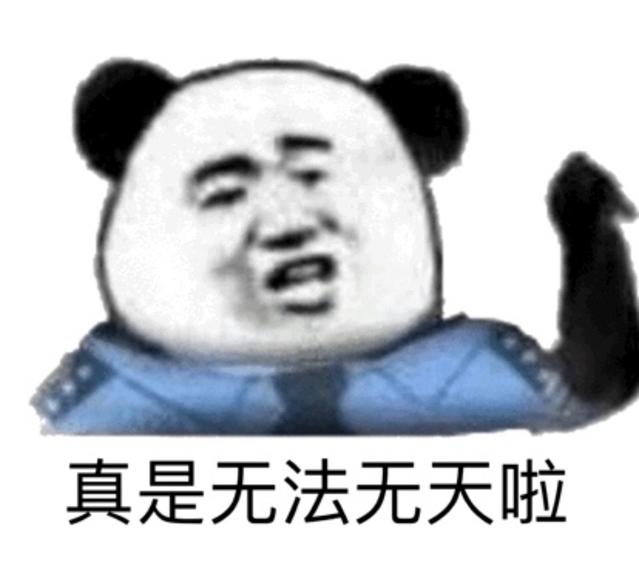 沙雕熊猫头