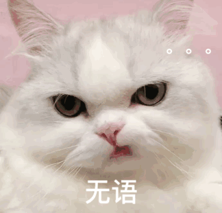 猫猫表情包 可爱 - 堆糖,美图壁纸兴趣社区