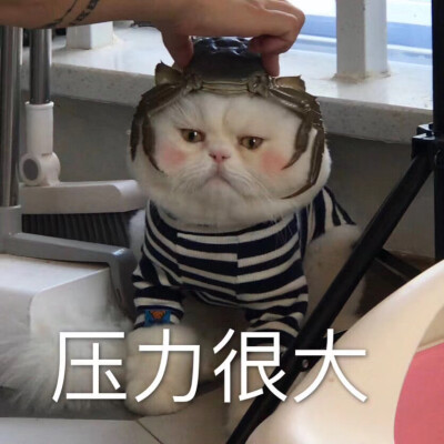 一个球表情包