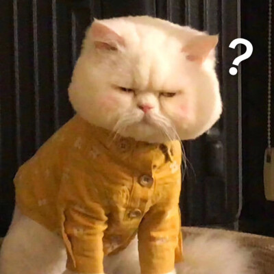 一个球表情包