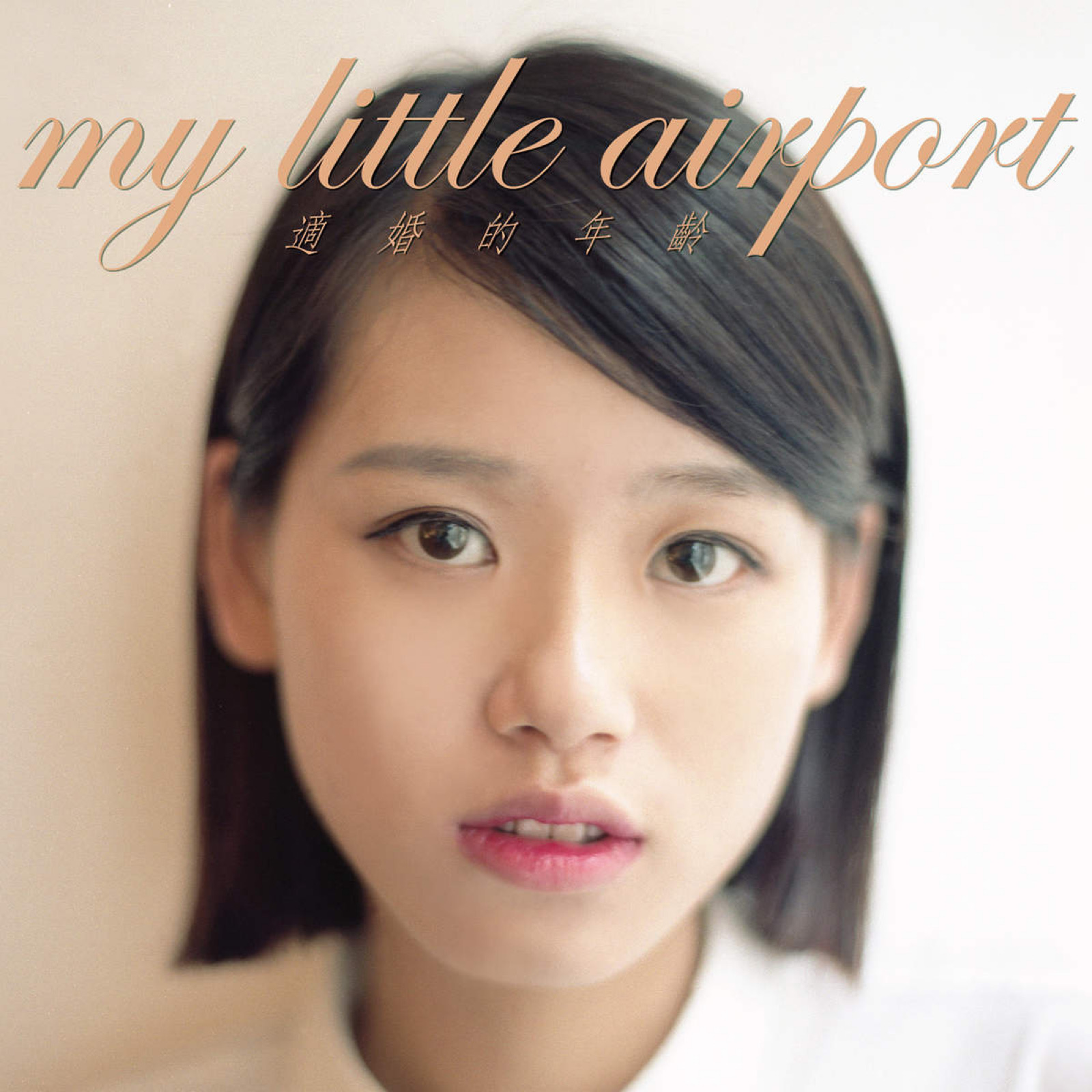 my little airport图片