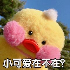 玻尿酸鸭表情包