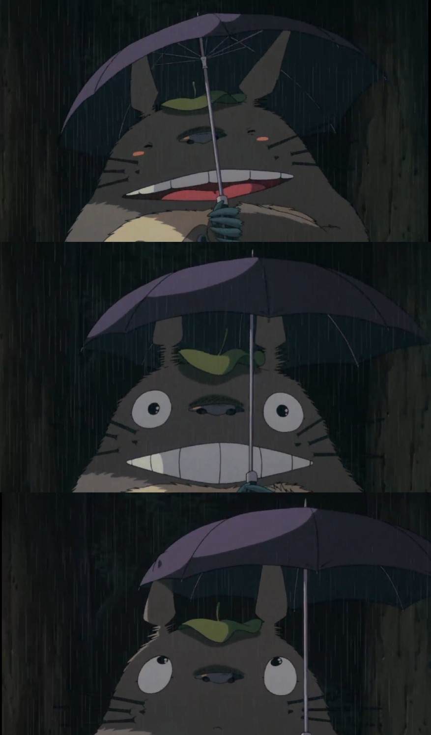 龙猫 可爱壁纸