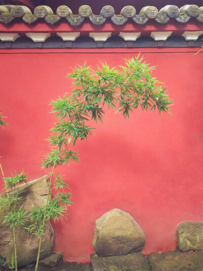 青砖黛瓦绿树红墙图片