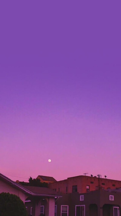 紫色手机壁纸高清唯美图片