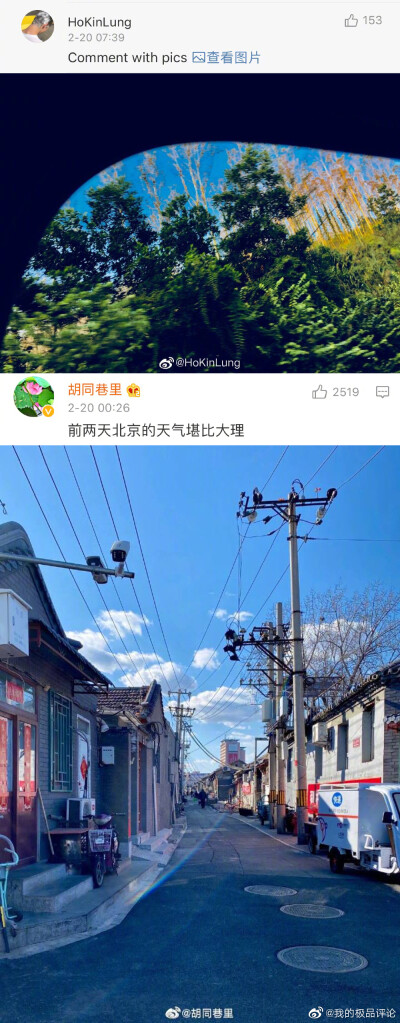 你拍得最好的一张照片# 评论真的都太美好了!马住治愈一下心情呀!