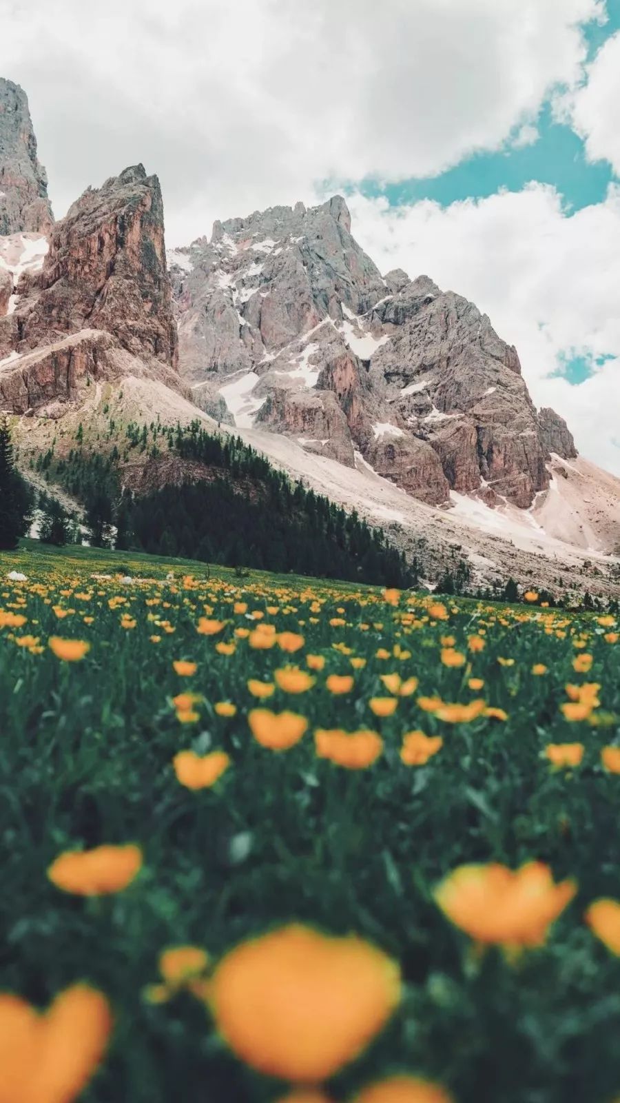 风景壁纸