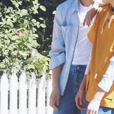 tf家族