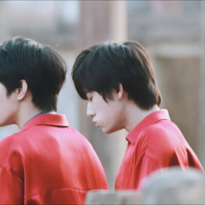 tf家族