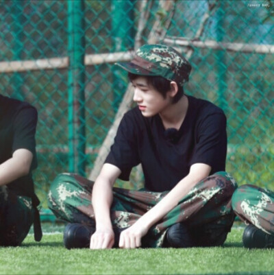 tf家族