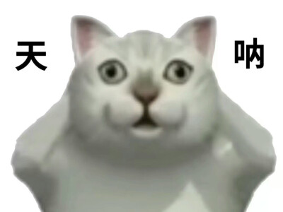 21世纪人类交流法宝——表情包