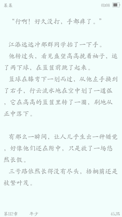 某某江添盛望"风过林梢,骄阳正好,彼时他们正当年少"