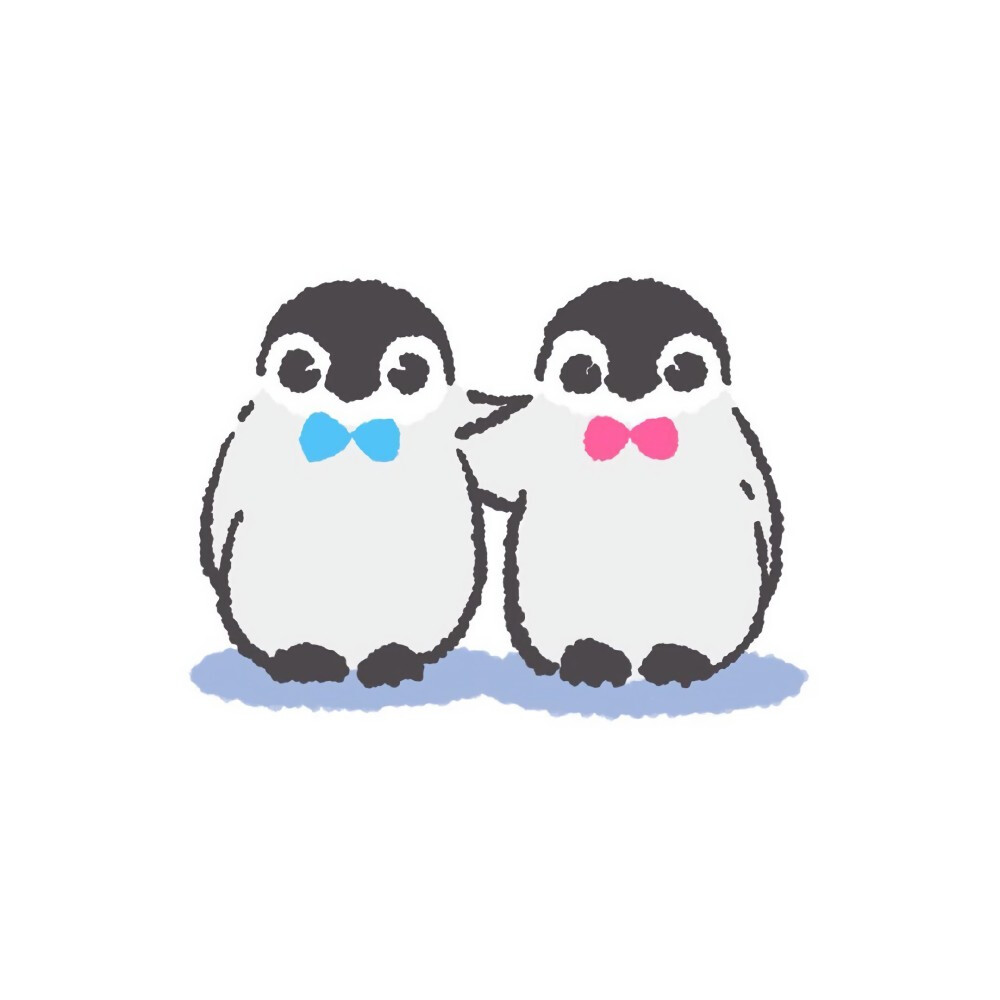 小企鹅情头图片