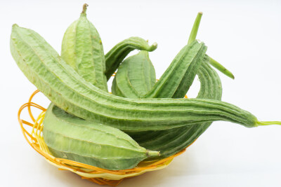 丝瓜 静物 蔬菜 食品 农业 绿色 新鲜 特写 农作物 绿色食品 植物