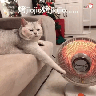 2月23日 19:39   关注  表情包 猫咪 英短银渐层 评论 收藏