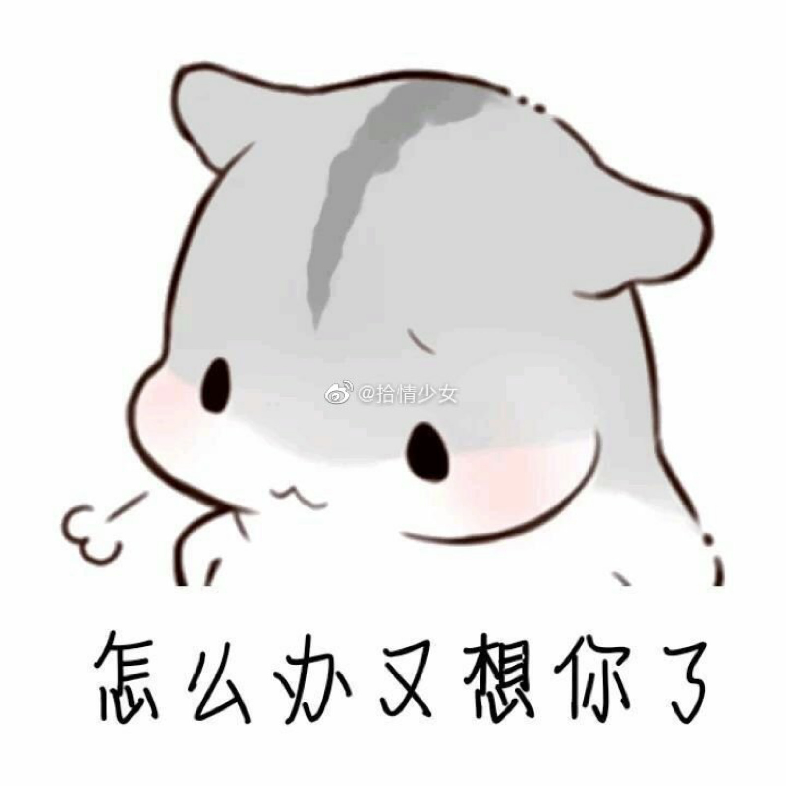 可可爱爱 表情包