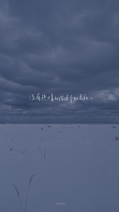 高清壁纸 可爱简约 纯色壁纸文字壁纸转载:鹿柯柯