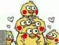 表情包 沙雕 小黄鸡/鹦鹉