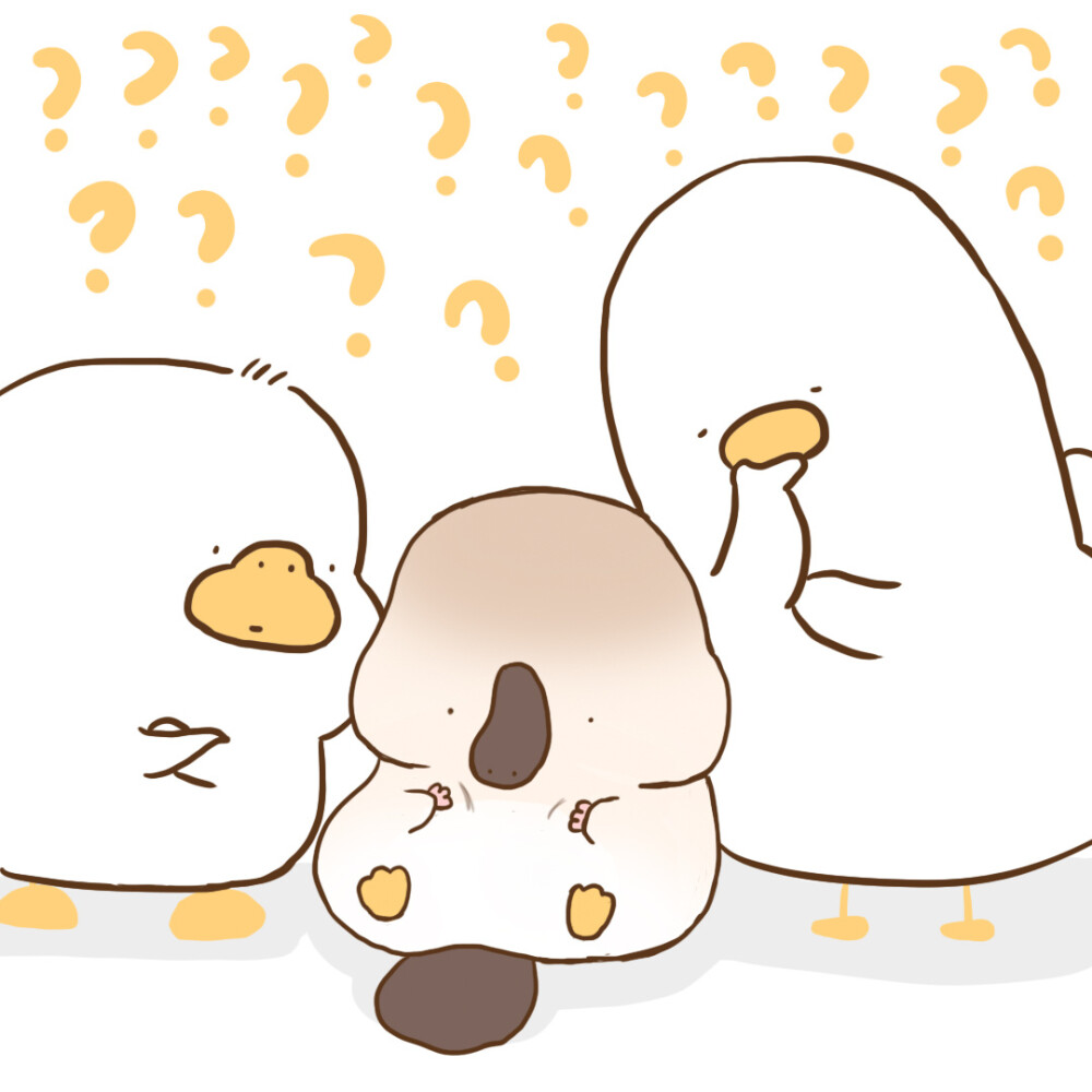 是小鸽鸽鸭壁纸